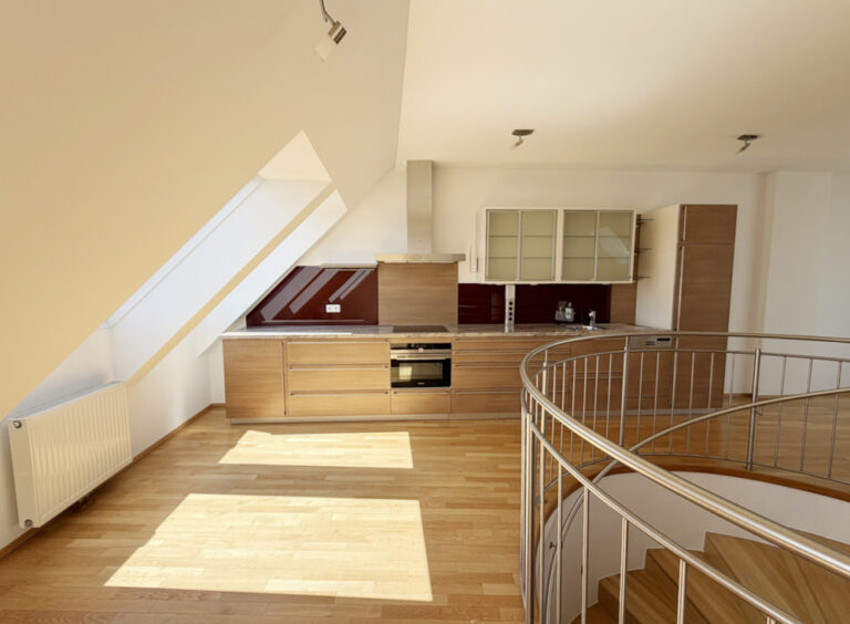 Dachgeschosswohnung mit Wienblick